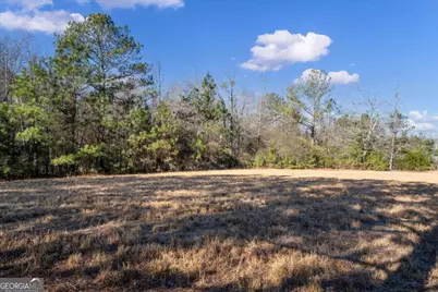 0 Thomas Street, Roopville, GA 30170 - Photo 25