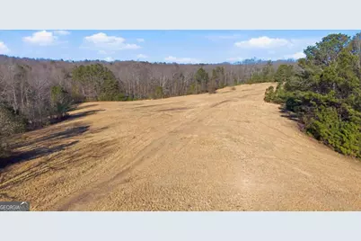 0 Thomas Street, Roopville, GA 30170 - Photo 9