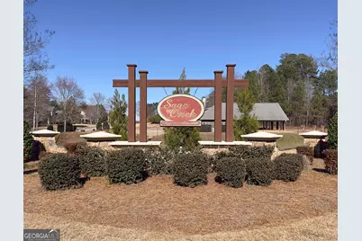 234 Thyme Leaf Way, Locust Grove, GA 30248 - Photo 5