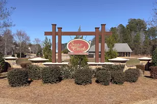 234 Thyme Leaf Way, Locust Grove, GA 30248 - Photo 5