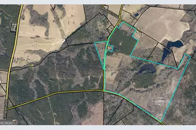 40 Drew Bennett Road, Midville, GA 30441 - Photo 33