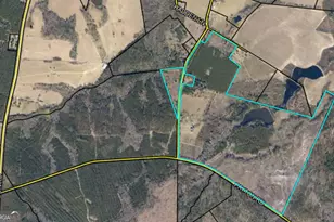 40 Drew Bennett Rd, Midville, GA 30441 - Photo 33