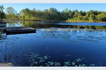 40 Drew Bennett Road, Midville, GA 30441 - Photo 27