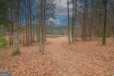 1578 Ga Highway 208, Hamilton, GA 31811 - Photo 71