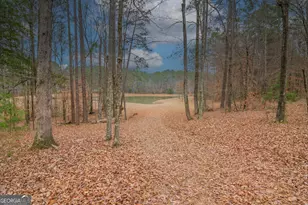 1578 Ga Hwy 208, Hamilton, GA 31811 - Photo 71