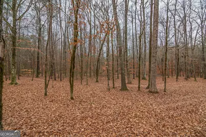 1578 Ga Highway 208, Hamilton, GA 31811 - Photo 79