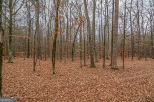 1578 Ga Hwy 208, Hamilton, GA 31811 - Photo 79