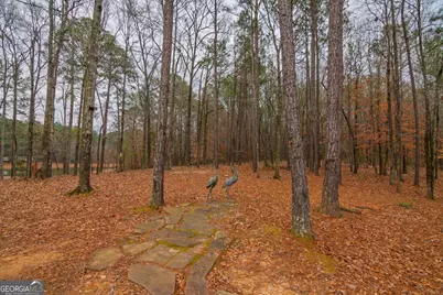 1578 Ga Highway 208, Hamilton, GA 31811 - Photo 67