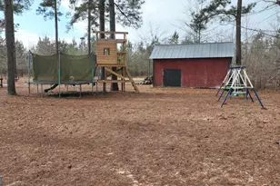 5500 Ga Hwy 88 W, Stapleton, GA 30823 - Photo 3