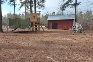 5500 Ga Hwy 88 W, Stapleton, GA 30823 - Photo 5