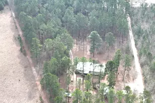 5500 Ga Hwy 88 W, Stapleton, GA 30823 - Photo 21