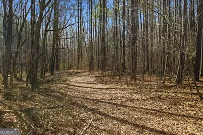 80 Chemin Place, Sharpsburg, GA 30277 - Photo 49