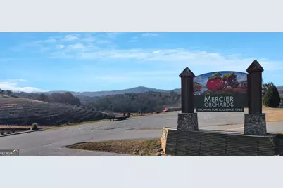 196 Grayson Point, Blue Ridge, GA 30513 - Photo 43