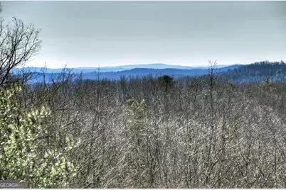 470 Gobbler Knob Drive, Ellijay, GA 30540 - Photo 23