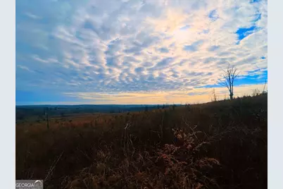 0 County Road 309 #TRACT A, Skipperville, AL 36374 - Photo 17