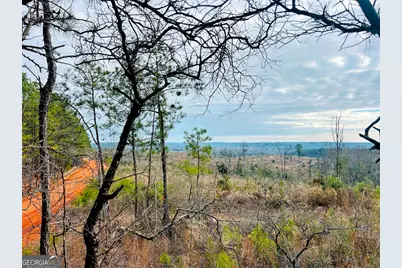 0 County Road 309 #TRACT A, Skipperville, AL 36374 - Photo 9