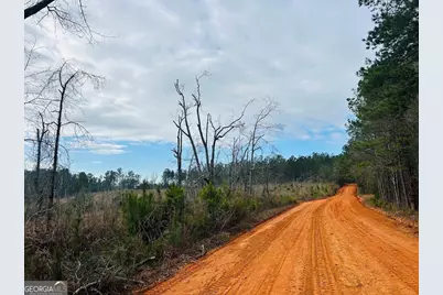 0 County Road 309 #TRACT A, Skipperville, AL 36374 - Photo 7