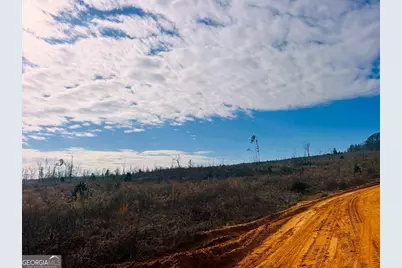 0 County Road 309 #TRACT A, Skipperville, AL 36374 - Photo 19