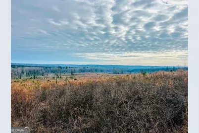 0 County Road 309 #TRACT A, Skipperville, AL 36374 - Photo 15