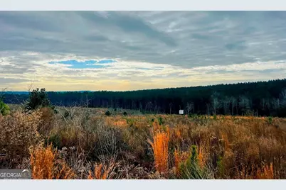 0 County Road 309 #TRACT A, Skipperville, AL 36374 - Photo 1