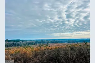 0 County Road 309 #TRACT A, Skipperville, AL 36374 - Photo 13