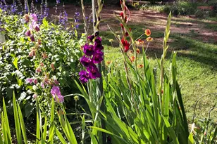 2601 Ridgewood Ln, Albany, GA 31707 - Photo 53