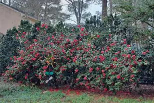 2601 Ridgewood Ln, Albany, GA 31707 - Photo 51