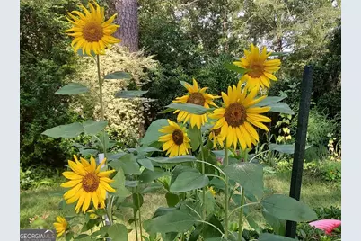 2601 Ridgewood Lane, Albany, GA 31707 - Photo 55