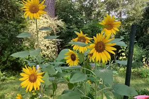 2601 Ridgewood Ln, Albany, GA 31707 - Photo 55