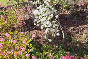 2601 Ridgewood Ln, Albany, GA 31707 - Photo 49