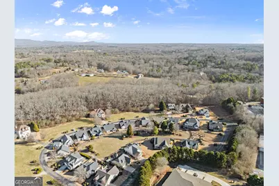 117 Village Green Way, Clarkesville, GA 30523 - Photo 39
