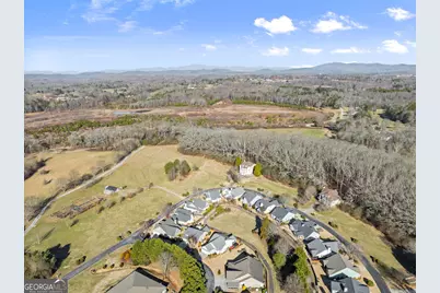 117 Village Green Way, Clarkesville, GA 30523 - Photo 37