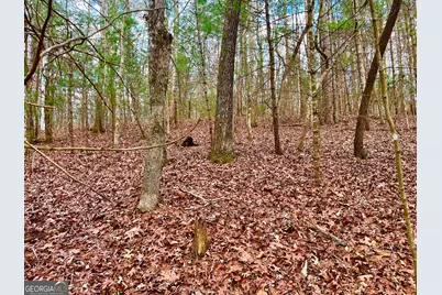 914 Villa Drive, Ellijay, GA 30540 - Photo 13