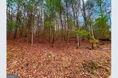 914 Villa Drive, Ellijay, GA 30540 - Photo 7