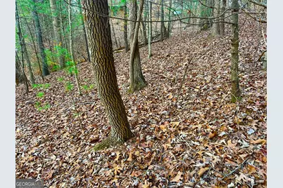 914 Villa Drive, Ellijay, GA 30540 - Photo 19