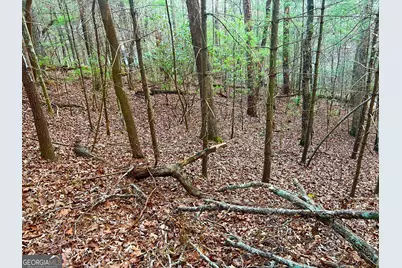 914 Villa Drive, Ellijay, GA 30540 - Photo 17