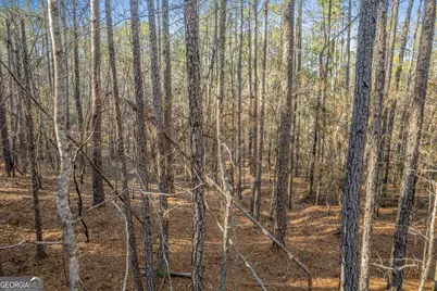 119 Sibley Road NE, Milledgeville, GA 31061 - Photo 23