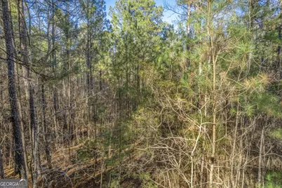 119 Sibley Road NE, Milledgeville, GA 31061 - Photo 21