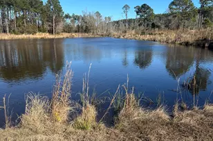 0 Marchants Dairy Rd, Rhine, GA 31077 - Photo 1