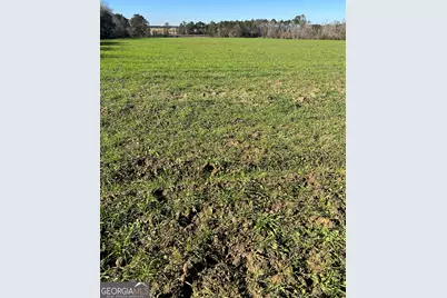 0 Marchants Dairy Rd, Rhine, GA 31077 - Photo 9