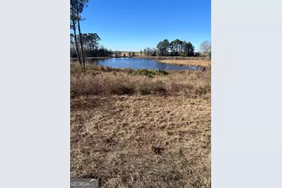 0 Marchants Dairy Rd, Rhine, GA 31077 - Photo 3