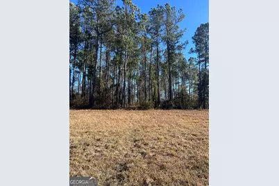0 Marchants Dairy Rd, Rhine, GA 31077 - Photo 7