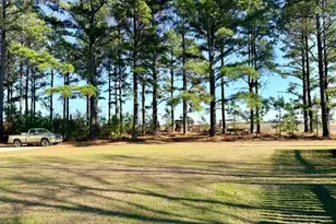 968 St Mathews Church Rd, Metter, GA 30439 - Photo 29