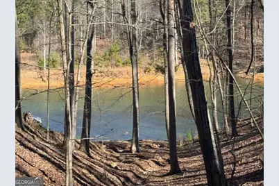 70 Geyser Court, Ranger, GA 30734 - Photo 1