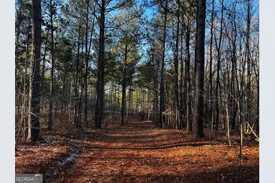 2285 Cherokee Road, Comer, GA 30629 - Photo 43