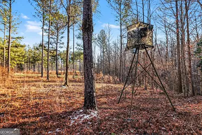 2285 Cherokee Road, Comer, GA 30629 - Photo 17