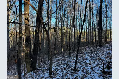 2285 Cherokee Road, Comer, GA 30629 - Photo 39