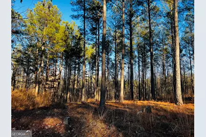 2285 Cherokee Road, Comer, GA 30629 - Photo 49