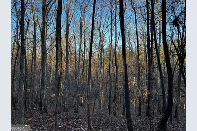 2285 Cherokee Road, Comer, GA 30629 - Photo 41