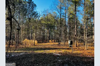 2285 Cherokee Road, Comer, GA 30629 - Photo 53